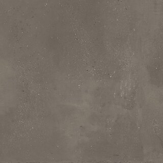 CeraVision Glam Project 94_evo Terra Arabica Mat 60x60 Rett