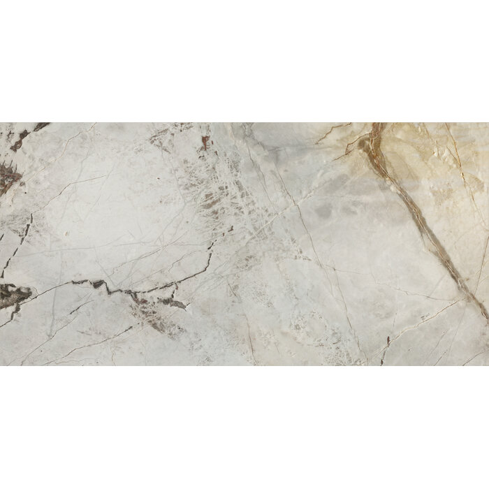 CeraVision Gold Hard Glans 60x120 Rett