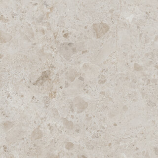 Excellent Collectie Petra Taupe Mat 120x120 Rett