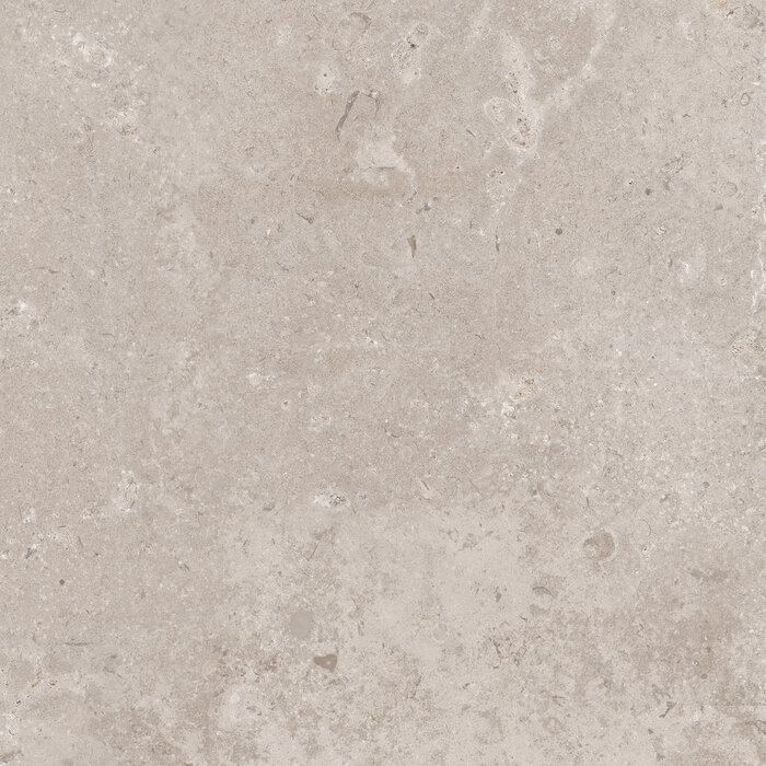 CeraVision Timeless Taupe Mat 60x60 Rett