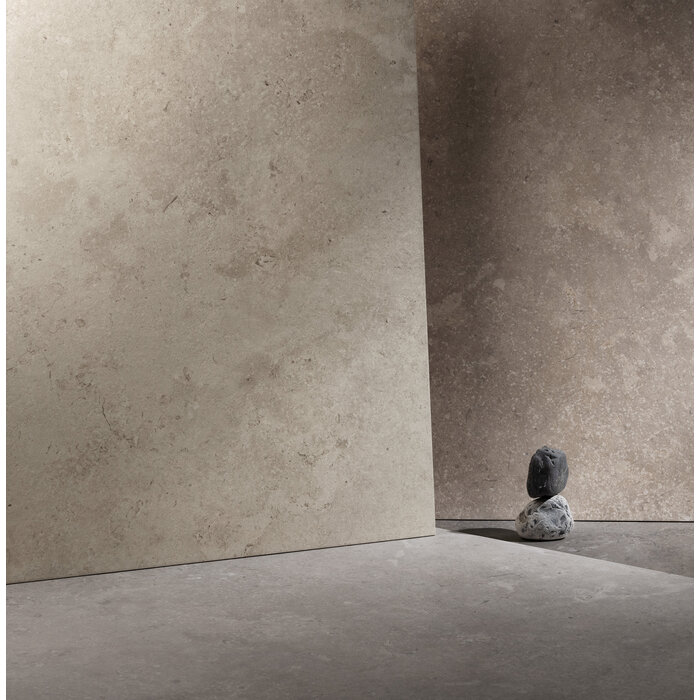 CeraVision Timeless Grey Mat 60x60 Rett