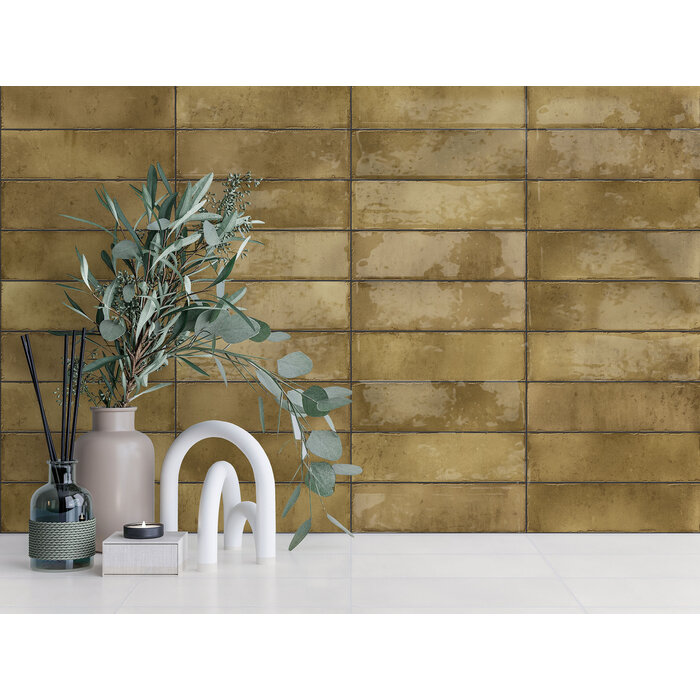 CeraVision Cosmos Honey Glans Handvorm 6,9x24