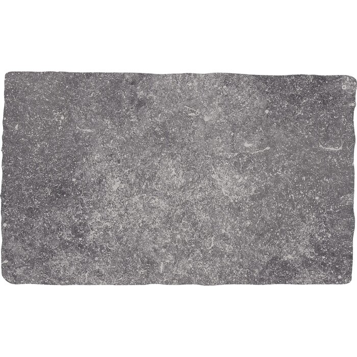 CeraVision Pierre Belge Gris Mat 30,6% 30x50