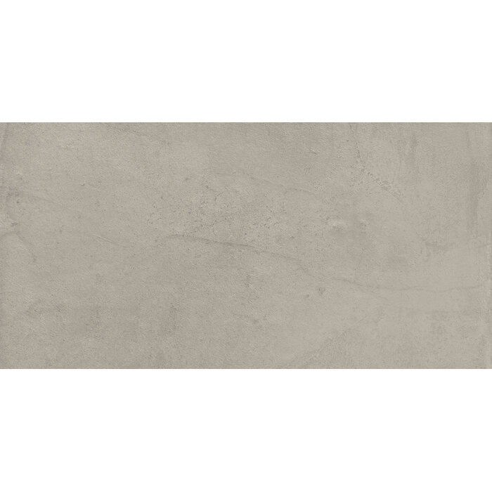 CeraVision Citylife Ash R Mat 59,5x119,2 Rett