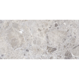 Excellent Collectie Petra Grey Mat 60x120 Rett