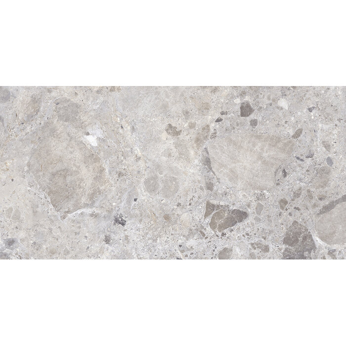 Excellent Collectie Petra Grey Mat 60x120 Rett