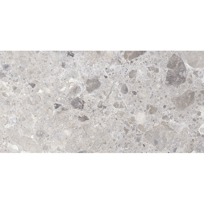 Excellent Collectie Petra Grey Mat 60x120 Rett