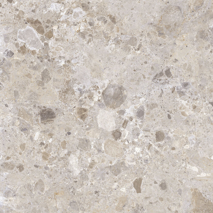 Excellent Collectie Petra Taupe Mat 120x120 Rett