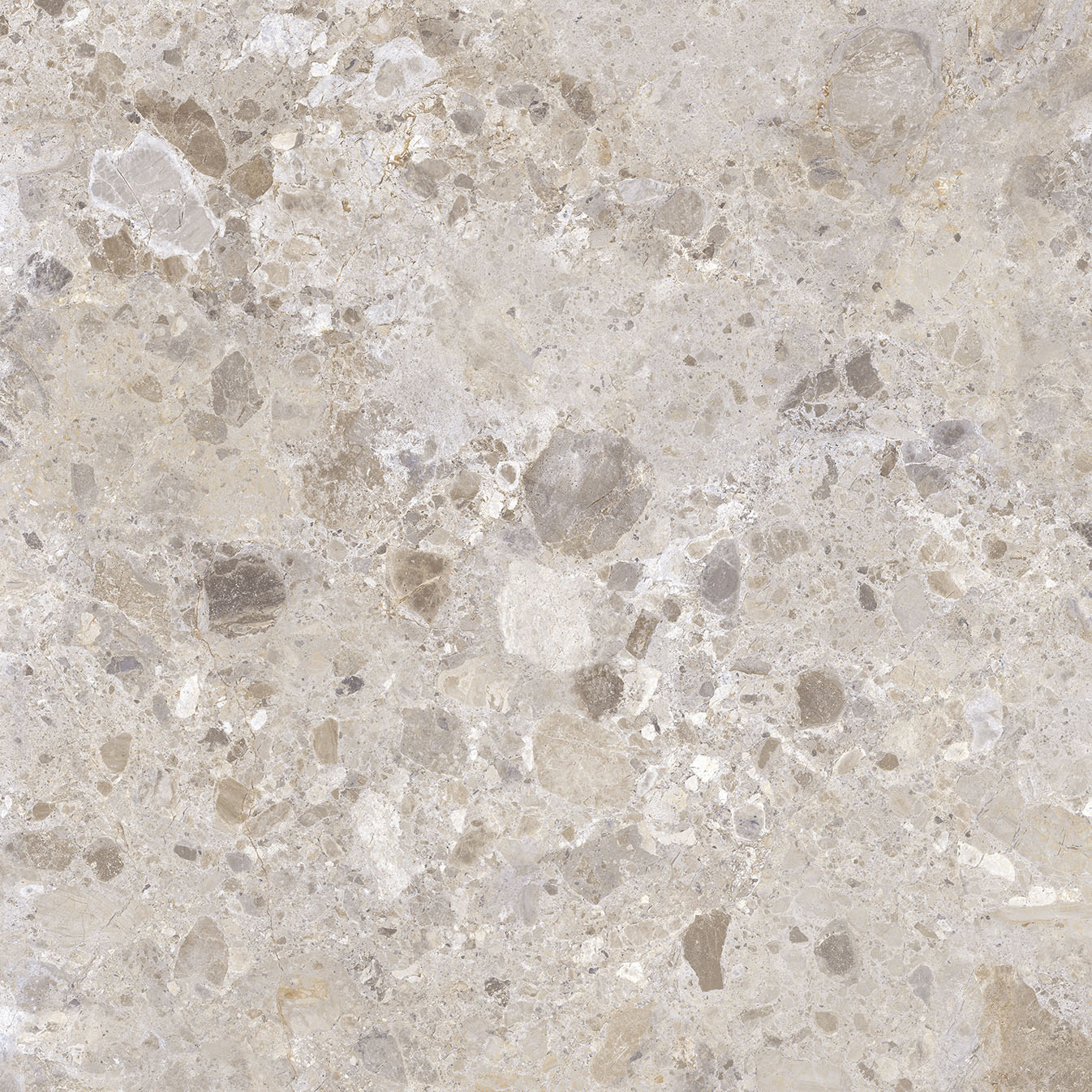 Excellent Collectie Petra Taupe Mat 120x120 Rett