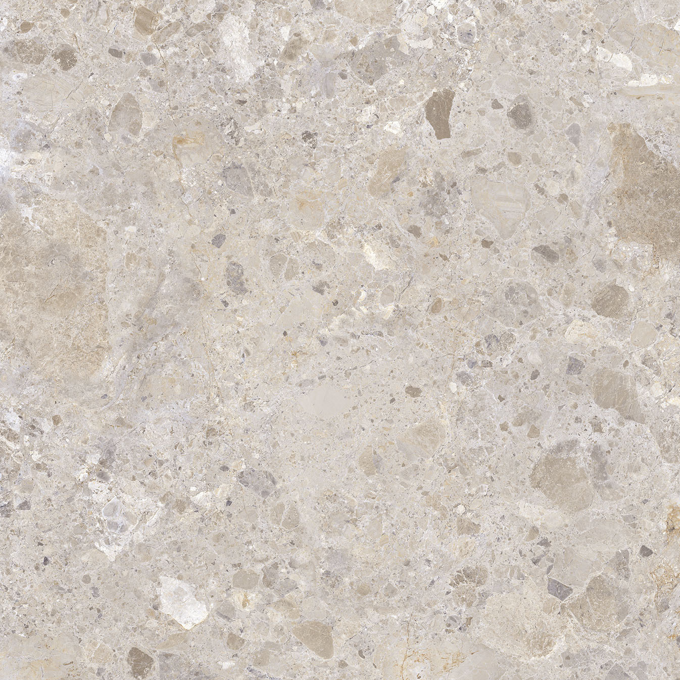 Excellent Collectie Petra Taupe Mat 120x120 Rett