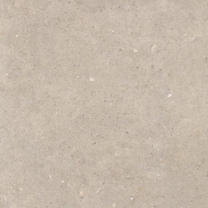 CeraVision Cement Stone Greige Mat 100x100 Rett