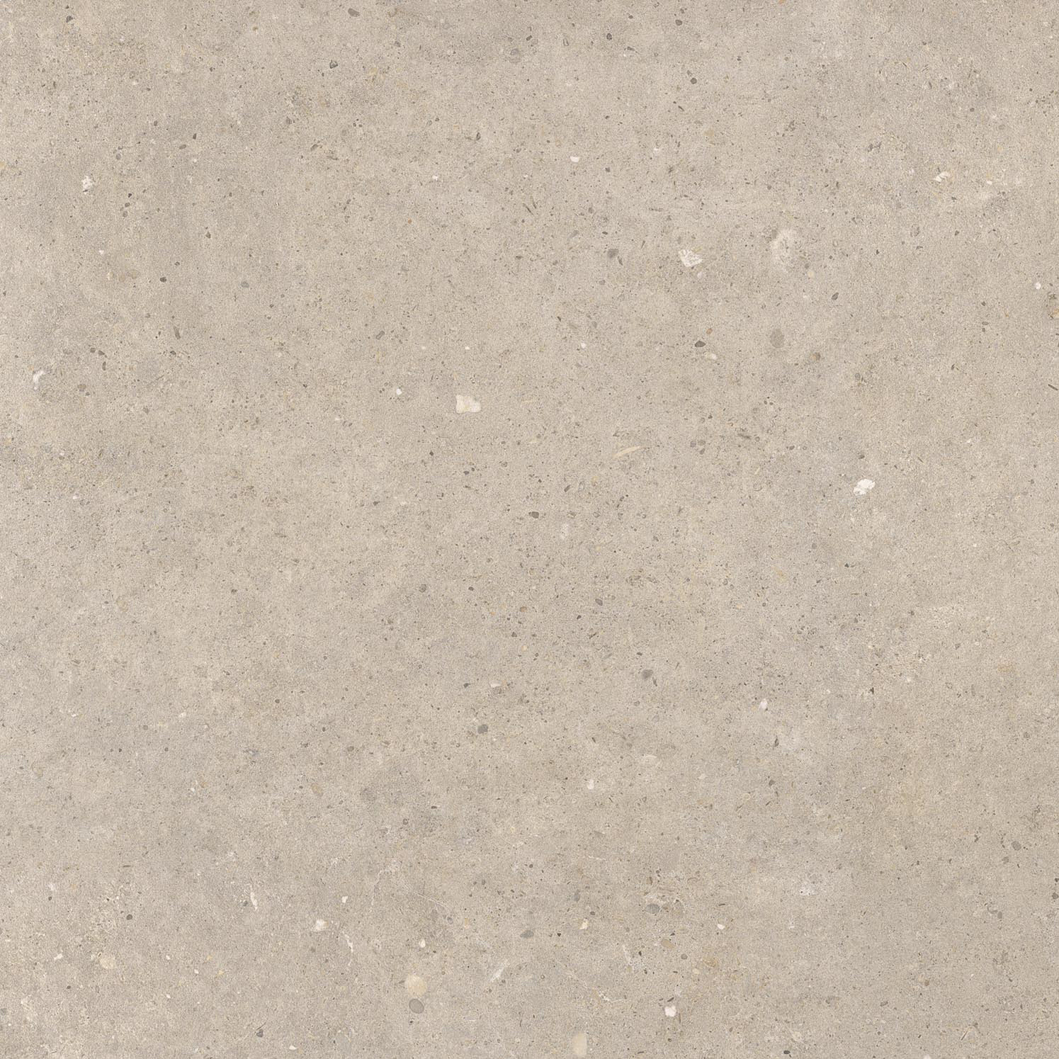 CeraVision Cement Stone Greige Mat 100x100 Rett