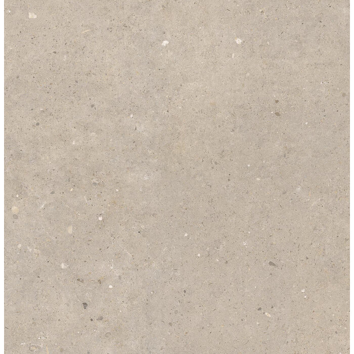 CeraVision Cement Stone Greige Mat 100x100 Rett