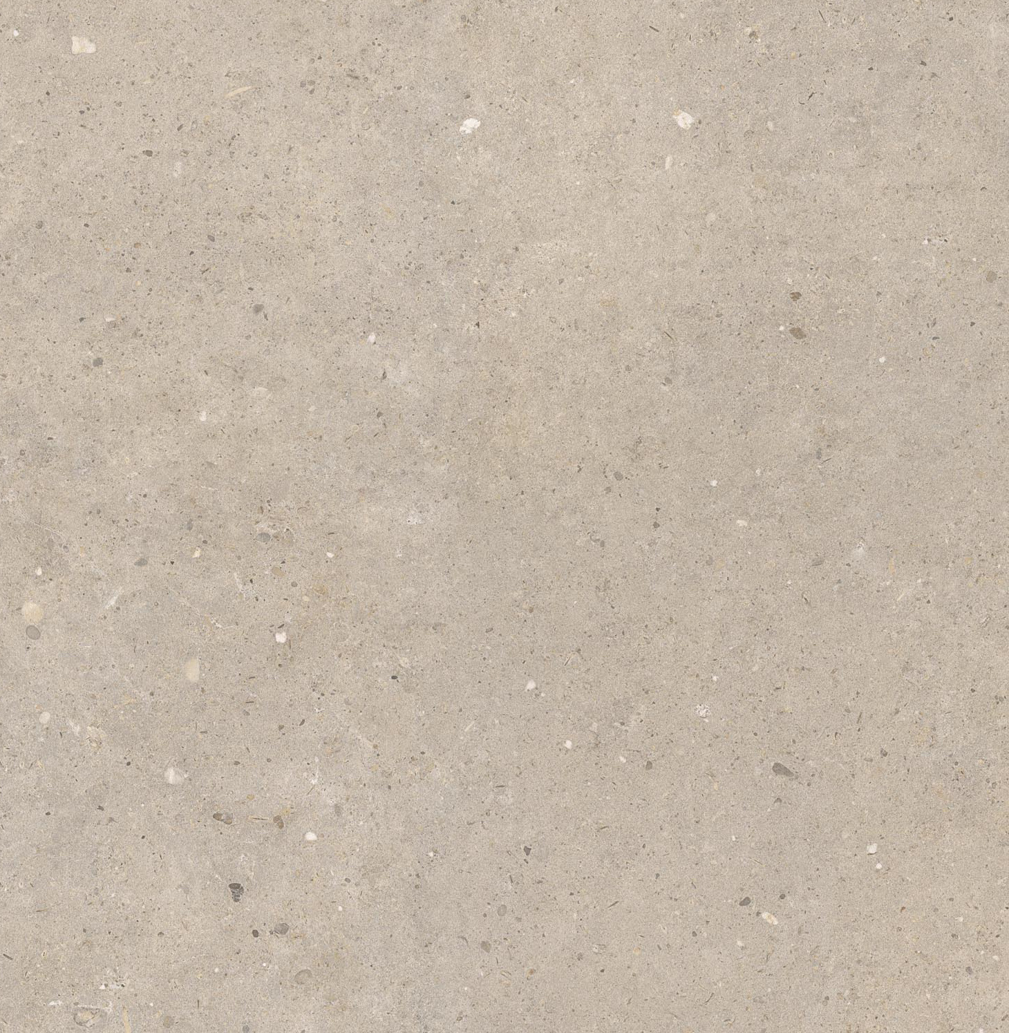 CeraVision Cement Stone Greige Mat 100x100 Rett