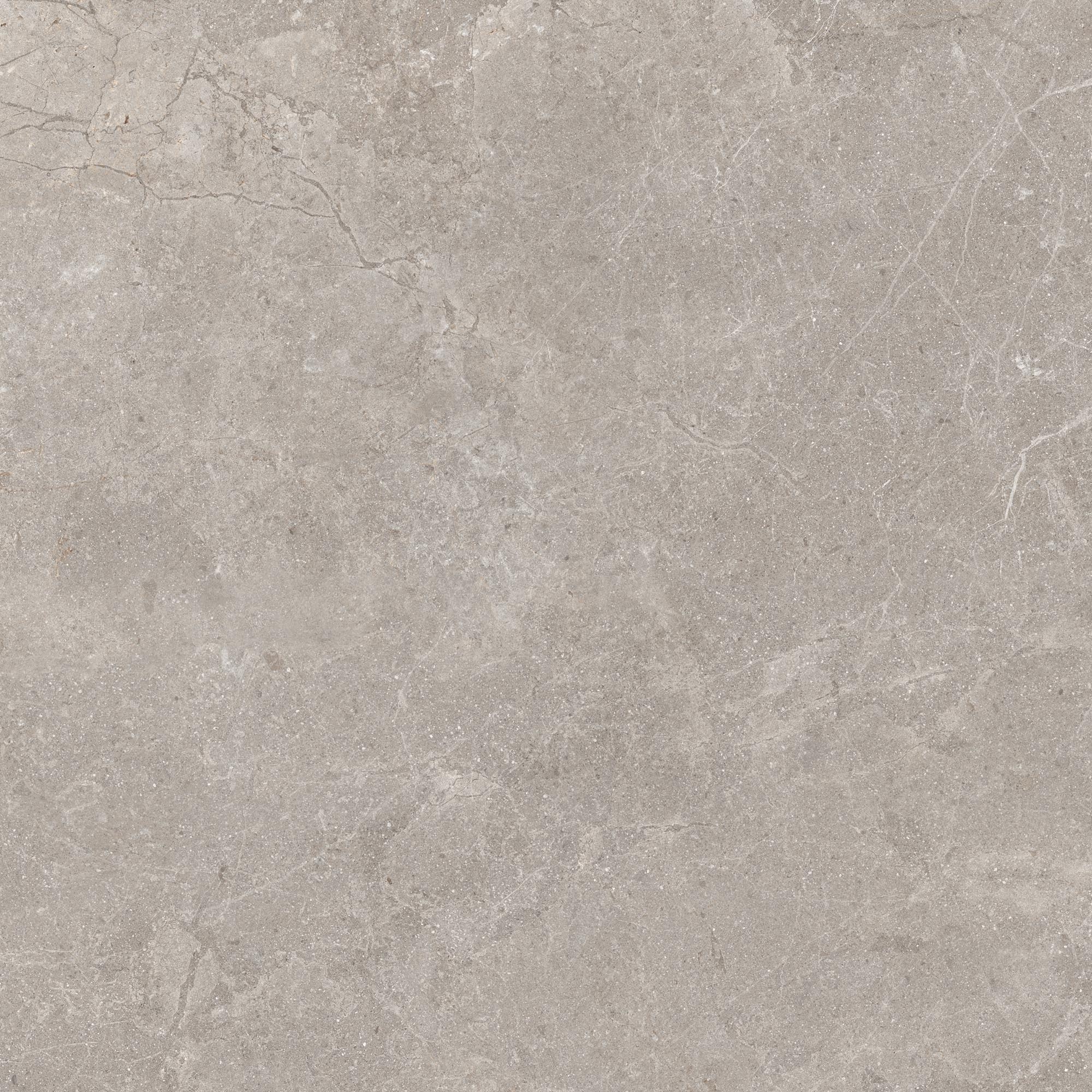 CeraVision Natural Stone Nature Mat 100x100 Rett