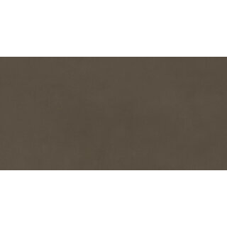 CeraVision Origin Taupe Mat 60x120 Rett