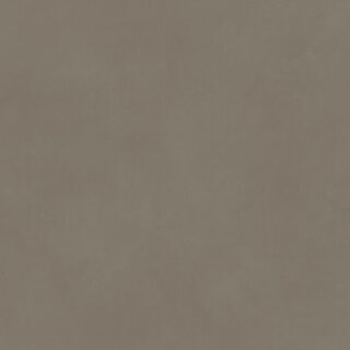 CeraVision 1,44m2 Origin Taupe Rtt 120x120