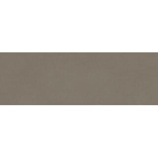 CeraVision Origin Taupe Mat 40x120 Rett