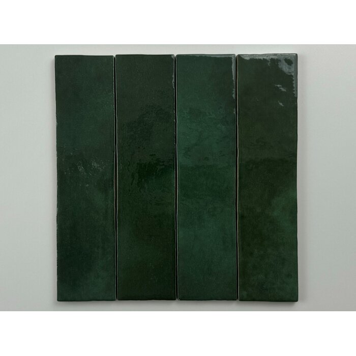 CeraVision 0,50m2 Vita Donker Groen Glans 6x24,6
