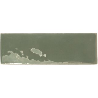 CeraVision 0,533m2 Rebels Moss Gloss 5x15