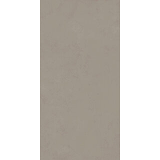CeraVision 1,44m2 Pigmenta Mud 60x120