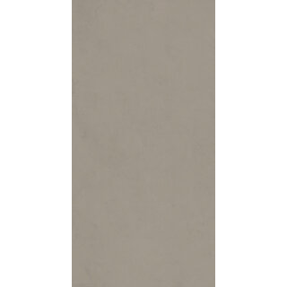 CeraVision 1,44m2 Pigmenta Mud 29,6x59,5