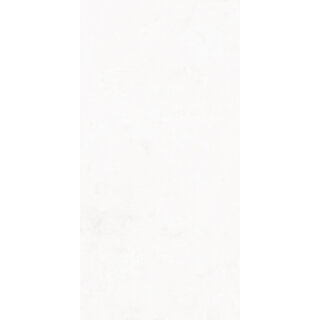 CeraVision 1,44m2 Pigmenta White 29,6x59,5