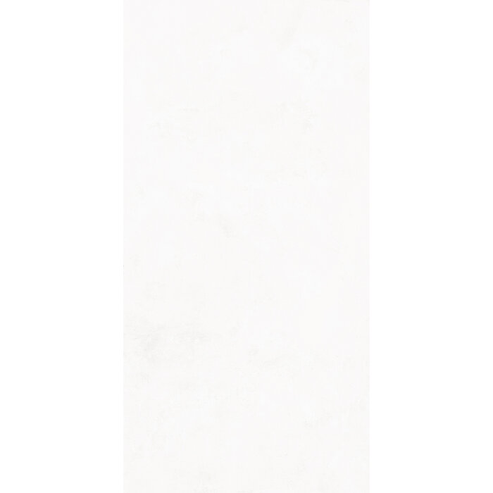 CeraVision 1,44m2 Pigmenta White 29,6x59,5