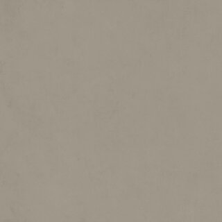CeraVision 2,88m2 Pigmenta Mud 119,7x119,7