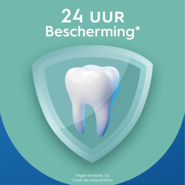 Oral-B Oral-B Pro-Expert Frisse Adem Tandpasta - 75 ml