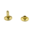 123Paracord Rivet 10X10 Ottone (10 unità)