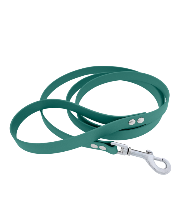 Biothane Guinzaglio per cani Teal Medium