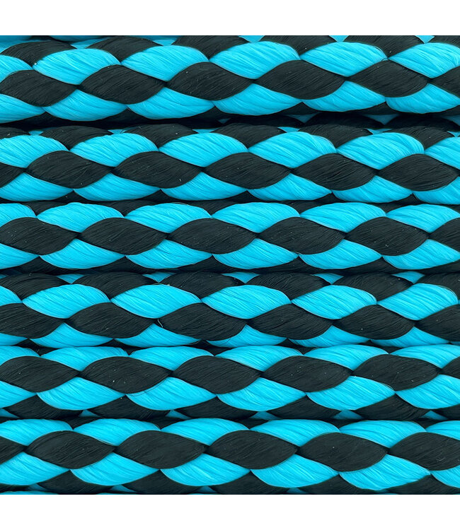 10MM Nylon Guinzaglio per cani Cyan scuro Checkers