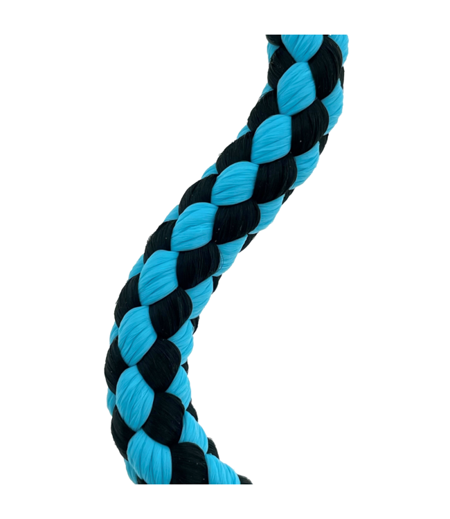 10MM Nylon Guinzaglio per cani Cyan scuro Checkers