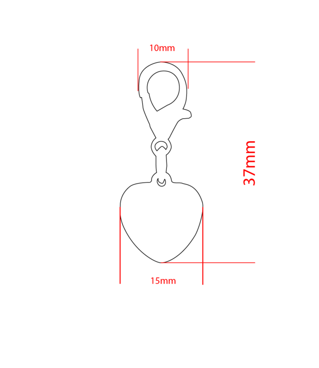 Ciondolo con charm Hart grande