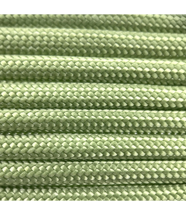 Paracord 550 tipo III Holy Guacamole
