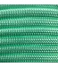 Paracord 550 tipo III Fresh Mint
