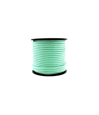 123Paracord Paracord 550 tipo III Fresh Mint-30 mtr