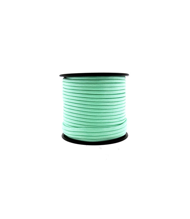 Paracord 550 tipo III Fresh Mint-30 mtr
