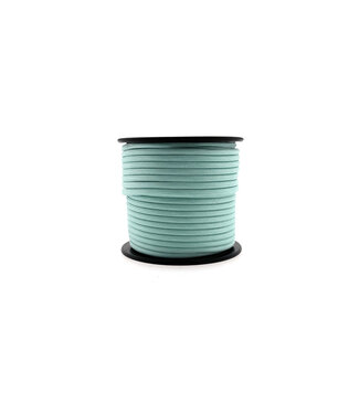 123Paracord Paracord 550 tipo III Pastel Eggshell-30 mtr