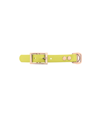 123Paracord Biothane adattatore 19MM Giallo pastello/Rose Oro