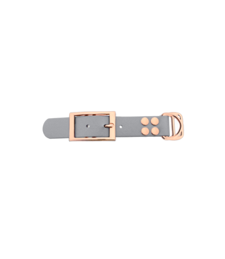 123Paracord Biothane adattatore 25MM Argento/Rose Oro