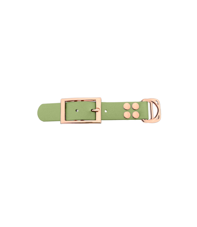 Biothane adattatore 25MM Holy Guacamole/Rose Oro
