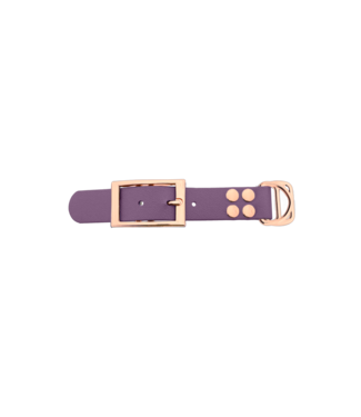 123Paracord Biothane adattatore 25MM Marvelous Mauve/Rose Oro