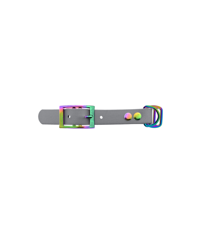 Biothane adattatore 19MM Argento/Neo-Chrome