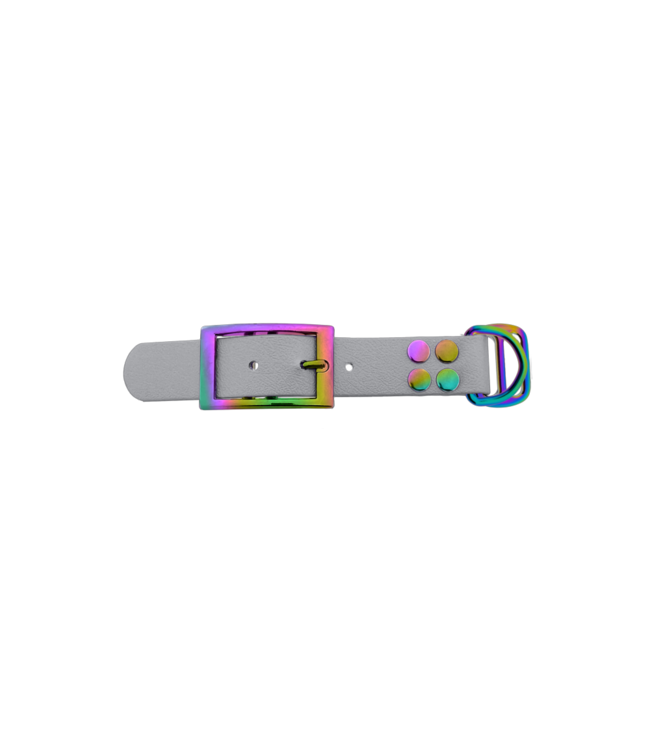 Biothane adattatore 25MM Argento/Neo-Chrome