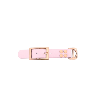 123Paracord Biothane adattatore 25MM Dusty Pink/Rose Oro