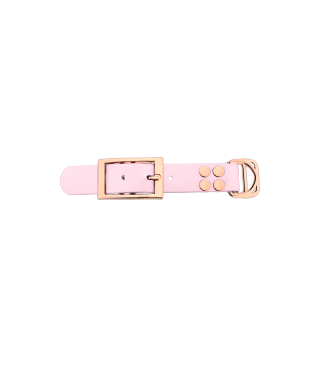 Biothane adattatore 25MM Dusty Pink/Rose Oro