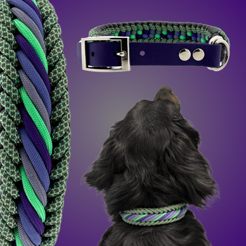 Luna's mini caramella 