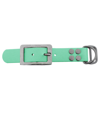 123Paracord Biothane adattatore 25MM Caribbean Verde/Acciaio inox